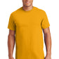 Gildan - 100% US Cotton T-Shirt.  2000