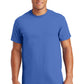 Gildan - 100% US Cotton T-Shirt.  2000 (Variants)