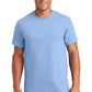 Gildan - 100% US Cotton T-Shirt.  2000 (Variants)