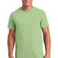 Gildan - 100% US Cotton T-Shirt.  2000