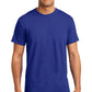 Hanes X-Temp T-Shirt. 4200