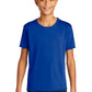 Gildan Performance  Youth Core T-Shirt. 46000B