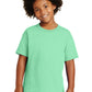 Gildan - Youth  Heavy Cotton 100% Cotton T-Shirt.  5000B