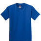 Hanes - Youth Authentic 100%  Cotton T-Shirt.  5450