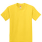 Hanes - Youth Authentic 100%  Cotton T-Shirt.  5450