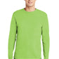Hanes - Authentic 100% Cotton Long Sleeve T-Shirt.  5586