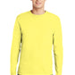 Hanes - Authentic 100% Cotton Long Sleeve T-Shirt.  5586