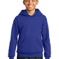 Hanes - Youth EcoSmart Pullover Hooded Sweatshirt.  P470