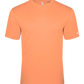 Tri-Blend Tee