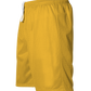 Adult Mesh Short