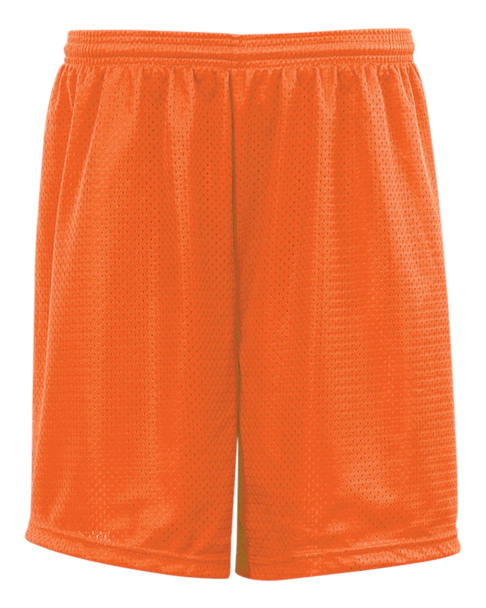 Mesh/Tricot 9 Inch Short