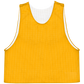 C2 Mesh Pinnie