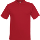 C2 Polo