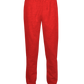 Athletic Fleece Jogger Pant