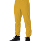 Adult Baseball Pant