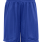 C2 Mesh 7 Inch Short