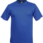 C2 Polo