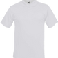 C2 Polo